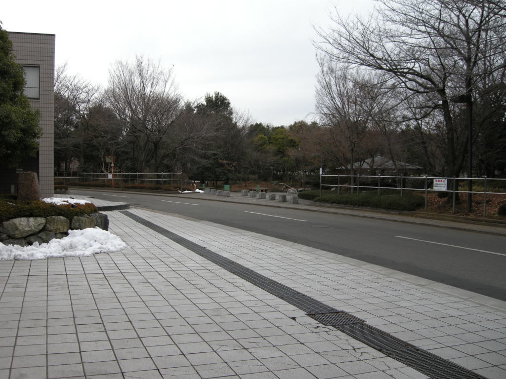 所沢市斎場から見た風景.jpg